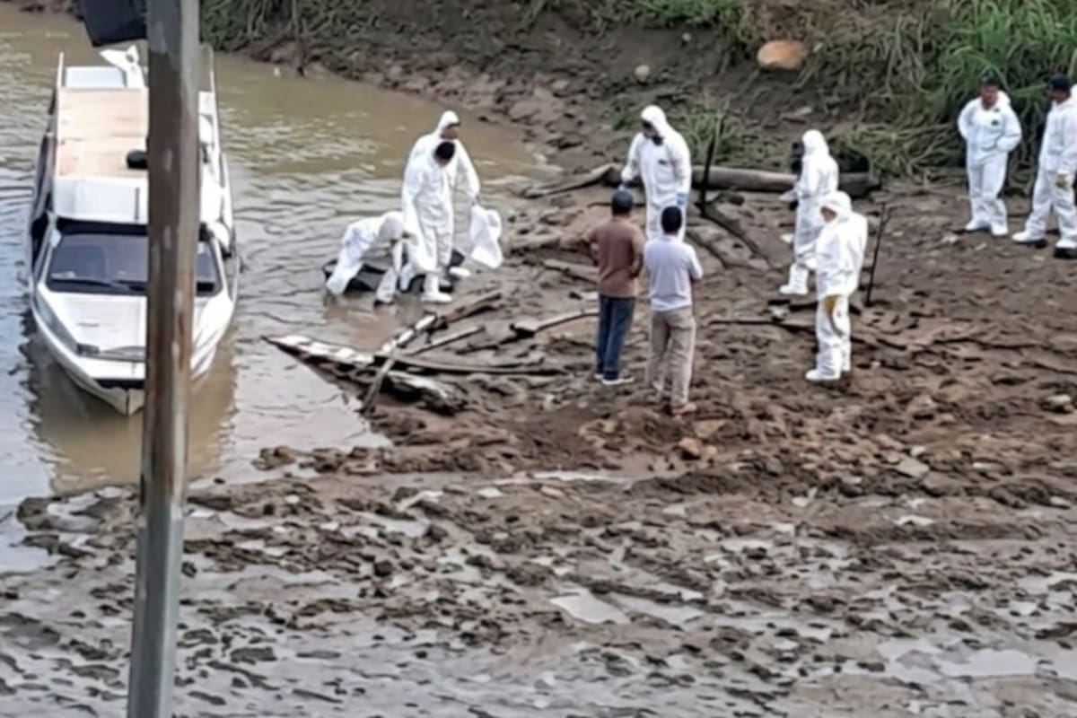 Los enfrentamientos entre las facciones de alias Iván Mordisco y alias Calarcá dejaron 48 muertos en Guaviare.
Foto: redes sociales.