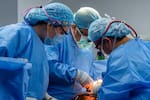 Día mundial de donación de órganos: más de 100 personas esperan un trasplante en Santander