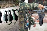 Catatumbo vive una nueva amenaza: 18 ataques con drones explosivos dejan 39 víctimas en 2026