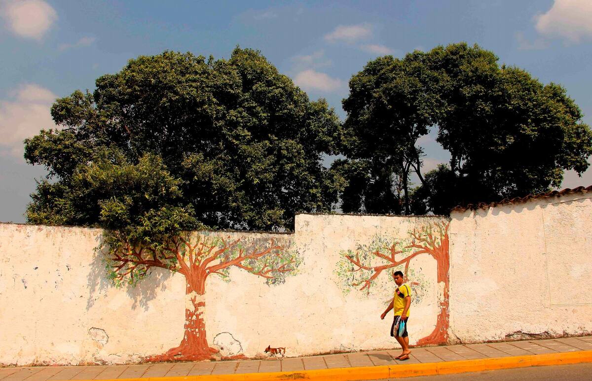 El norte de Bucaramanga es una de las zonas más intervenidas, gracias a los ‘Hitos Urbanos’ que no son más que murales que reflejan las emociones del artista y su entorno. (Foto: Elver Rodríguez/VANGUARDIA LIBERAL)