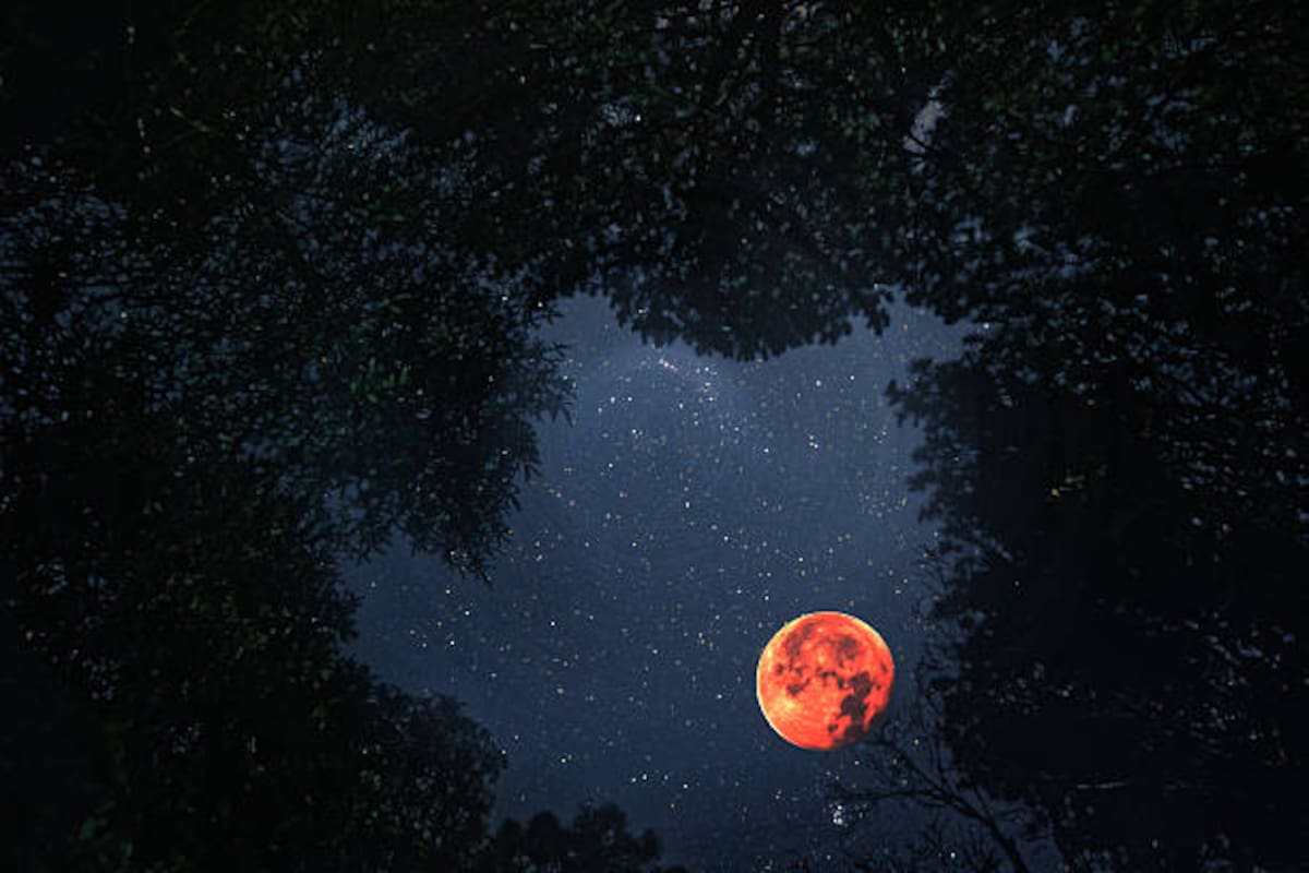 Fenómeno celeste de agosto: expertos recomiendan buscar lugares alejados de la contaminación lumínica para disfrutar mejor del eclipse.
