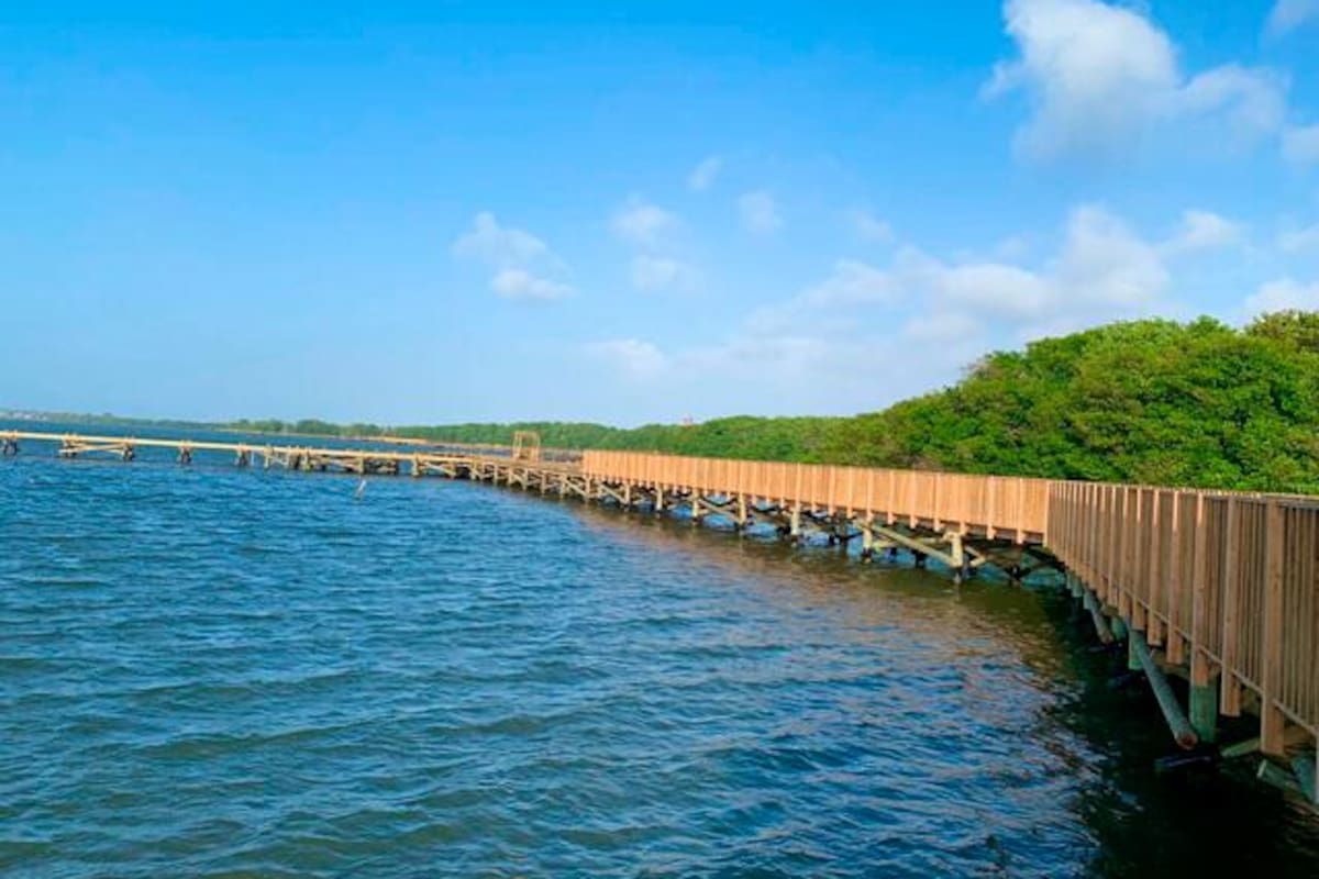 El ecoparque tiene senderos peatonales, plazoletas, muelles, ciclorrutas, torre-mirador para avistamiento de aves, y equipamiento para deportes náuticos sin motor, entre otros atractivos. Suministrada / VANGUARDIA