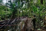Ecuador desmantela piscina clandestina con combustible robado en frontera colombiana