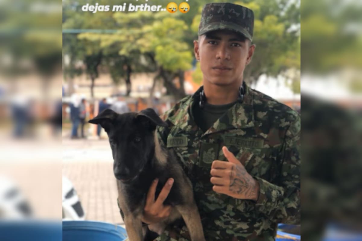 Edinson David Tamayo Tovar.