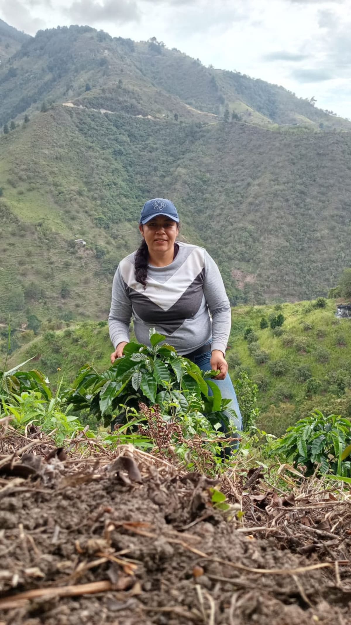 Edith Gutiérrez y su apuesta por empoderar a las mujeres que cultivan el café en Tona