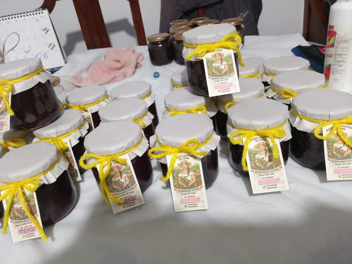 En Tona, un grupo de mujeres está sembrando mucho más que café. Bajo el liderazgo de Edith Gutiérrez, las caficultoras buscan convertir sus conocimientos, sus cultivos y los subproductos del café en herramientas para ganar autonomía y transformar sus comunidades.