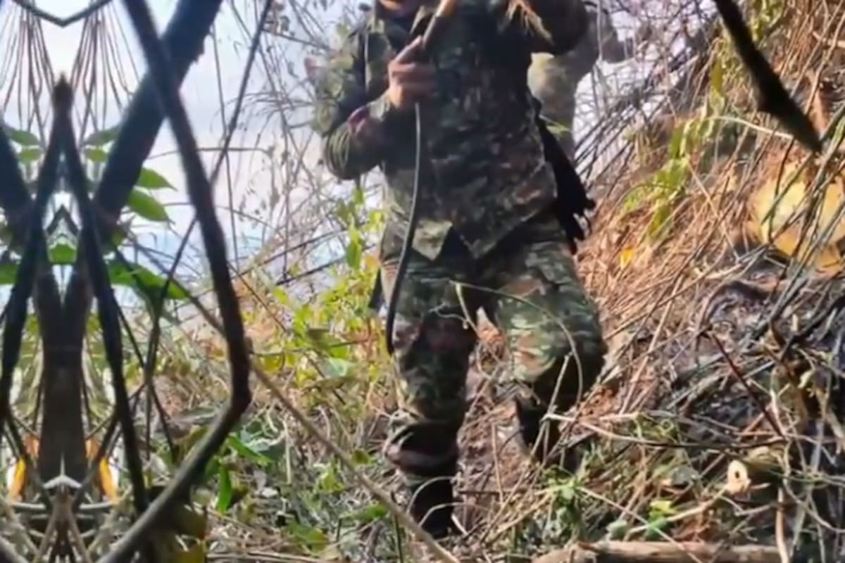 El trabajo de las tropas de la Segunda División del Ejército Nacional fue fundamental para el control de este incendio, que afectó cerca de 16 hectáreas de vegetación en el corregimiento 2 de Bucaramanga. (Imágenes: suministradas / VANGUARDIA)