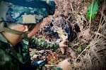 Ejército destruyó depósito con 81 explosivos que pertenecerían a disidencias en Putumayo