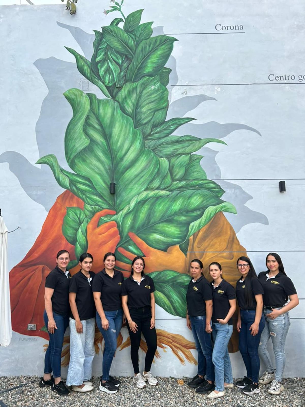 Un grupo de mujeres mantiene vivo el oficio de enrollar tabaco y son clave para las exportaciones de puros de una empresa de Barichara (Fotos de Giselle Yuliana Jejen Herrera / VANGUARDIA)