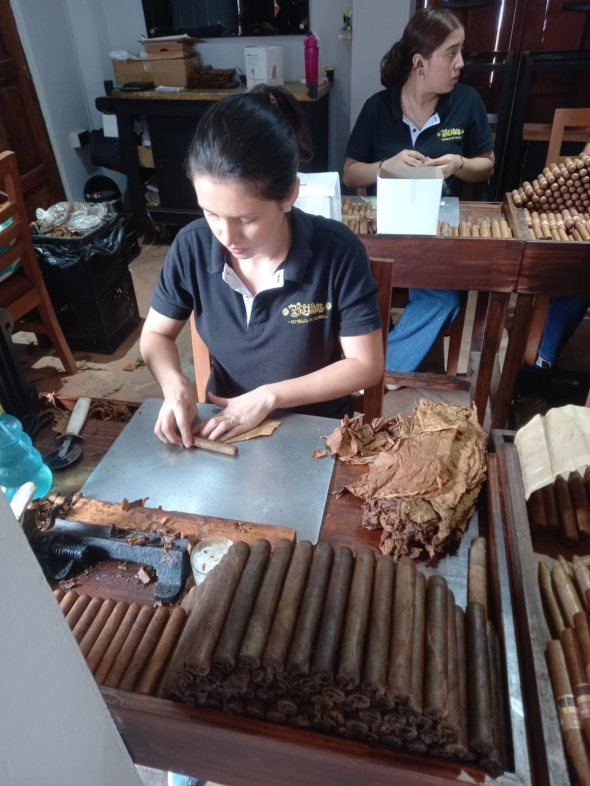 Un grupo de mujeres mantiene vivo el oficio de enrollar tabaco y son clave para las exportaciones de puros de una empresa de Barichara (Fotos de Giselle Yuliana Jejen Herrera / VANGUARDIA)