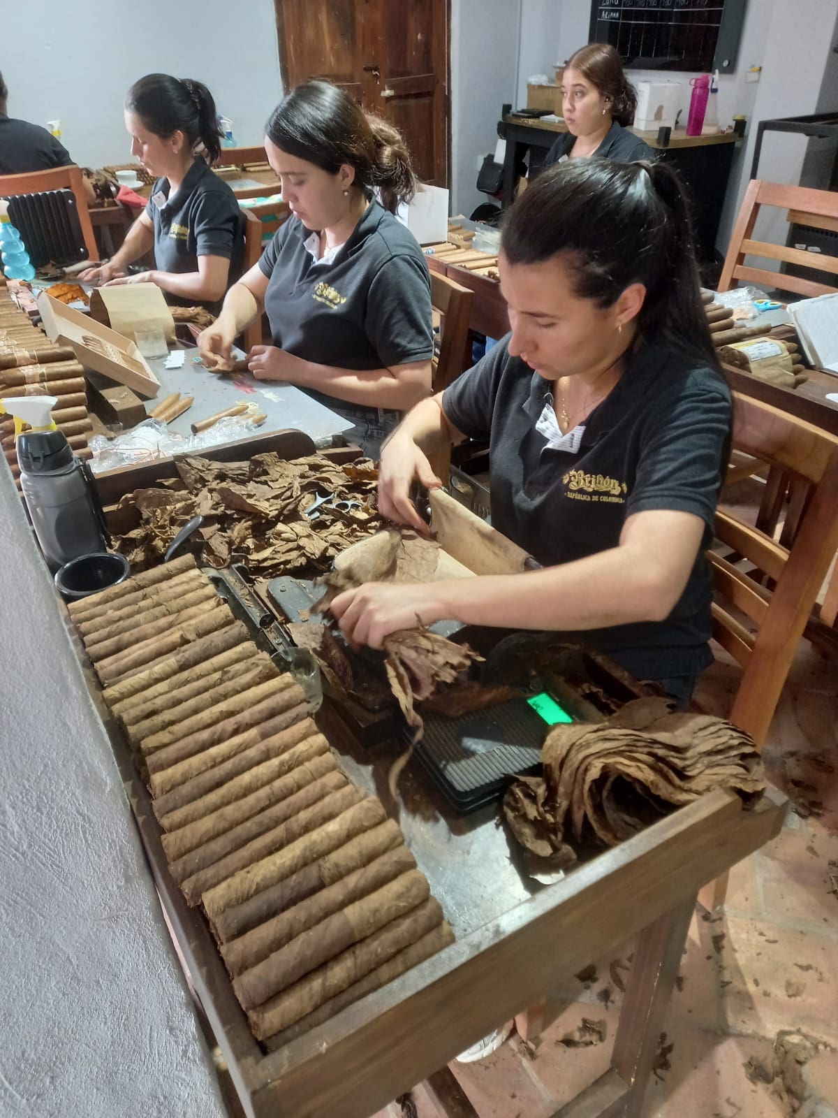 Un grupo de mujeres mantiene vivo el oficio de enrollar tabaco y son clave para las exportaciones de puros de una empresa de Barichara (Fotos de Giselle Yuliana Jejen Herrera / VANGUARDIA)