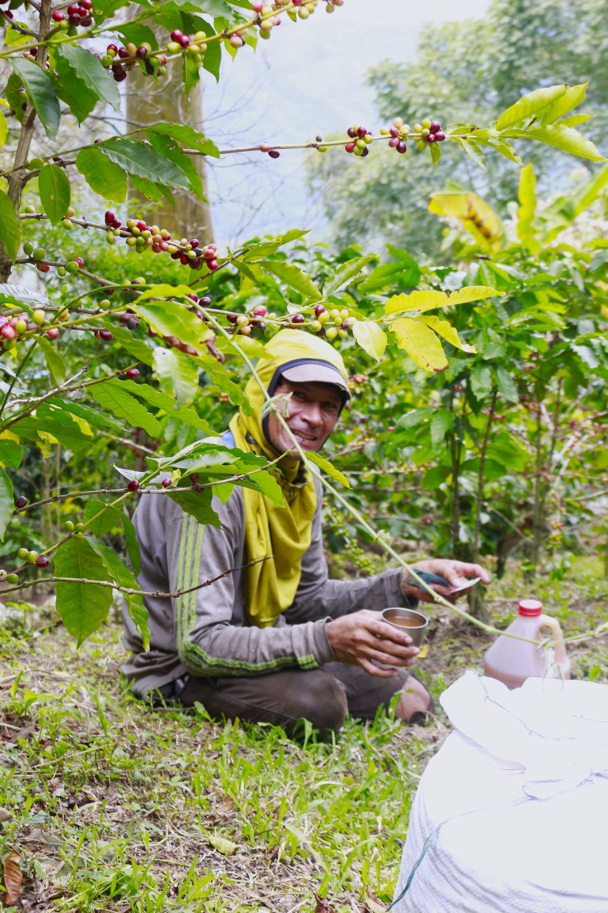 El arte del fuego: así cobra vida el café de Santander. Fotos: Felipe Jaimes/VANGUARDIA