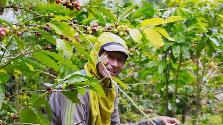 El arte del fuego: así cobra vida el café de Santander