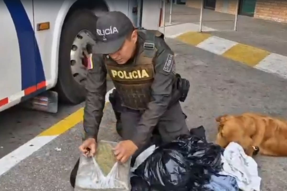 El canino ‘Yordi’ detectó la droga oculta en una maleta dentro del maletero del bus.