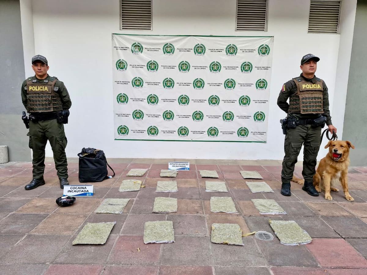 El cargamento incautado tendría un valor cercano a los $34 millones.