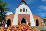 El Carmen de Chucurí celebra 40 años entre cacao, montañas y tradición