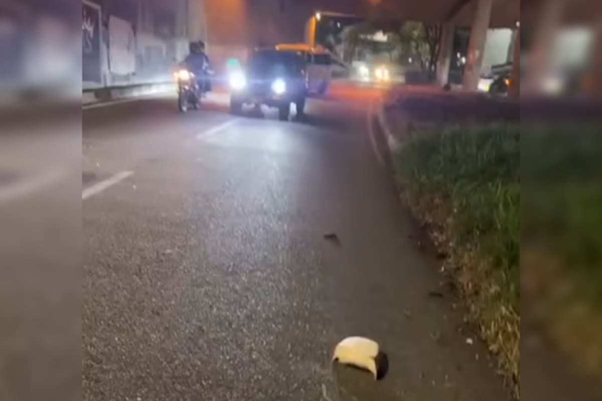 El cuerpo de Jorge Enrique Mora Chamorro quedó entre la maleza del separador tras el accidente.