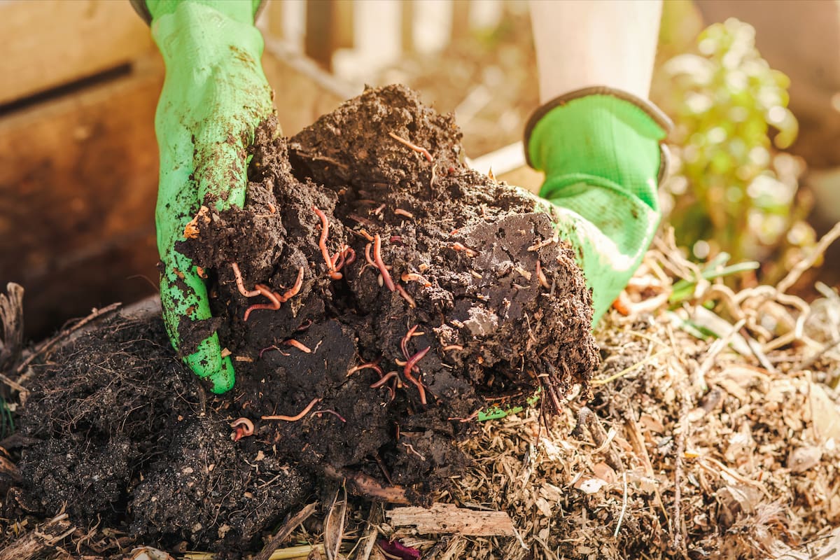 La discusión sobre el futuro de la agricultura volvió a poner en el centro del debate la salud de los suelos. Mientras investigadores y productores defienden prácticas orgánicas y regenerativas, persisten dudas sobre las consecuencias del uso prolongado de fertilizantes químicos y la verdadera efectividad de combinarlos con materia orgánica.