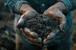 El desafío de producir alimentos sin deteriorar la tierra