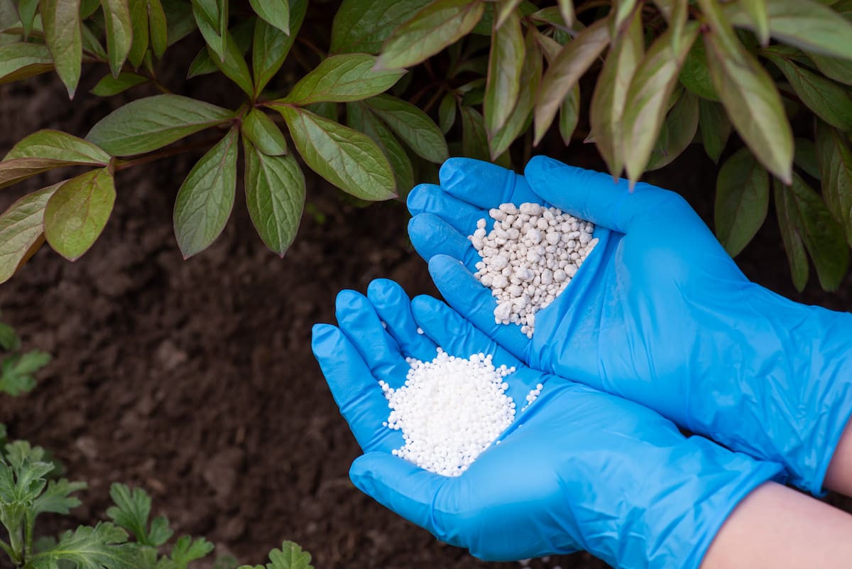 La discusión sobre el futuro de la agricultura volvió a poner en el centro del debate la salud de los suelos. Mientras investigadores y productores defienden prácticas orgánicas y regenerativas, persisten dudas sobre las consecuencias del uso prolongado de fertilizantes químicos y la verdadera efectividad de combinarlos con materia orgánica.