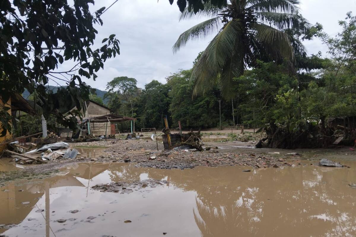 El desbordamiento del río Lebrija arrasó con viviendas y dejó a decenas de familias damnificadas en el corregimiento de Vanegas.