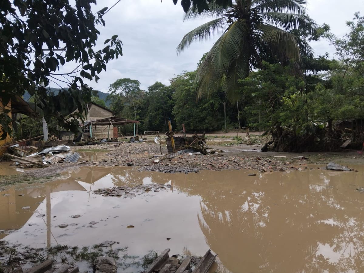 El desbordamiento del río Lebrija arrasó con viviendas y dejó a decenas de familias damnificadas en el corregimiento de Vanegas.