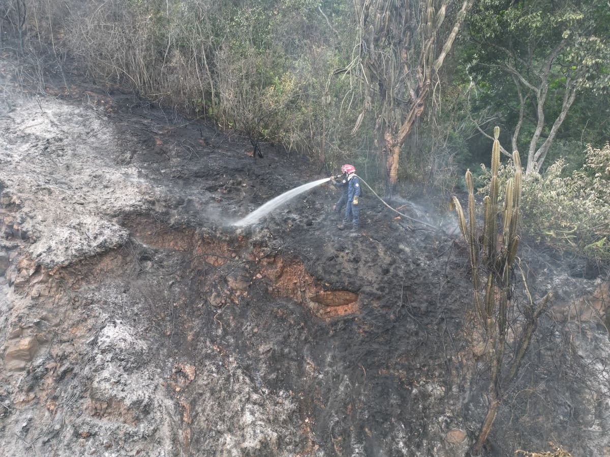 El incendio avanzó rápidamente por la vegetación seca del sector.