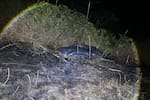Campesino murió atrapado en incendio mientras realizaba una quema agrícola en Santander