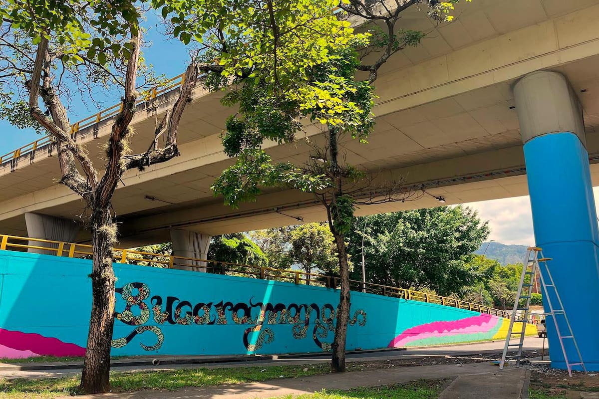 La intervención abarca tres sectores estratégicos de la ciudad: el muro del Colegio de la Presentación en la Carrera 33 con Calle 56, el lateral de la vía Puente Conucos, y las columnas y bases del puente intercambiador en la Puerta del Sol. Fotos tomadas de redes sociales/VANGUARDIA