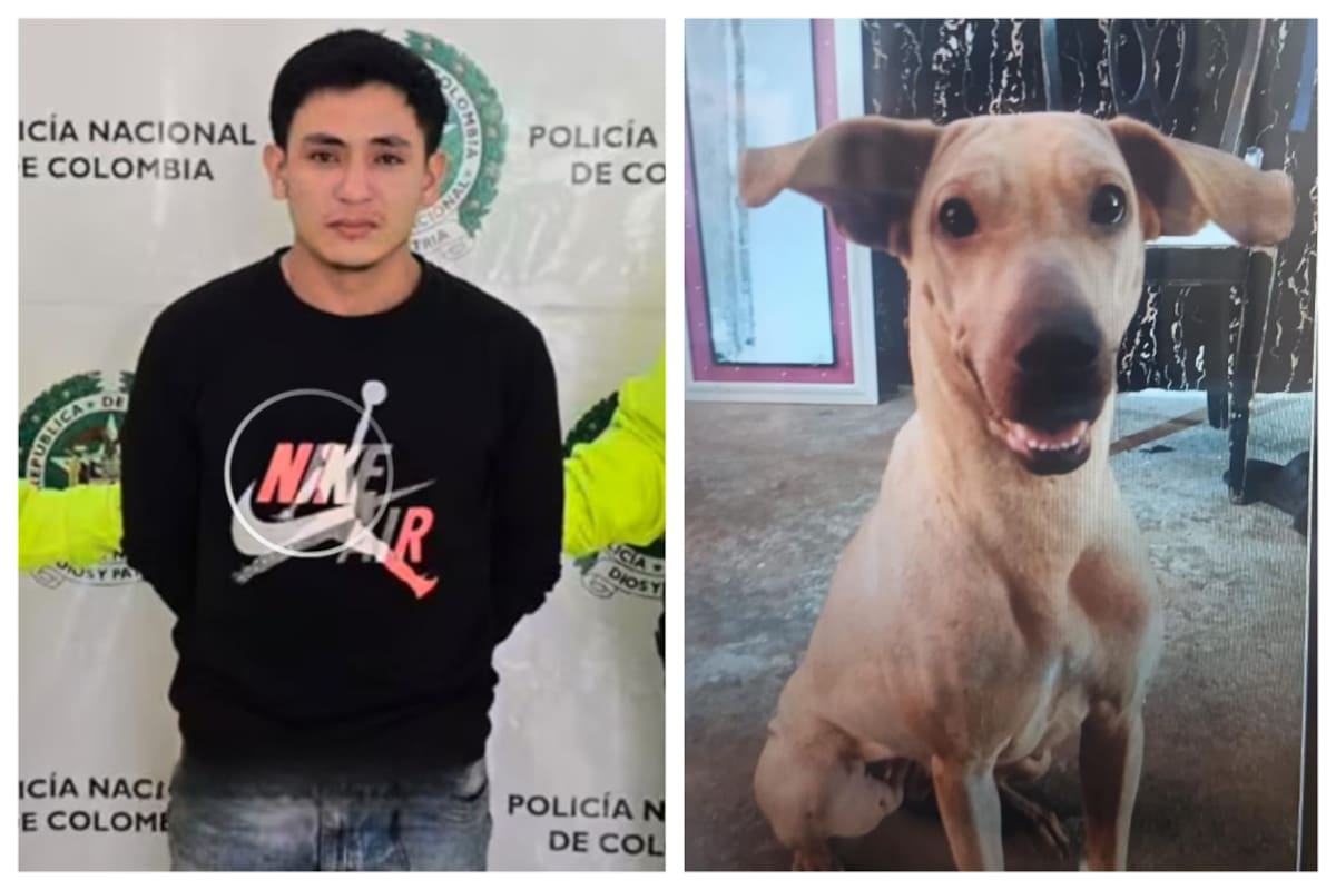 El presunto responsable de la muerte de Kira fue capturado por la Sijin de la Policía Metropolitana de Bucaramanga.