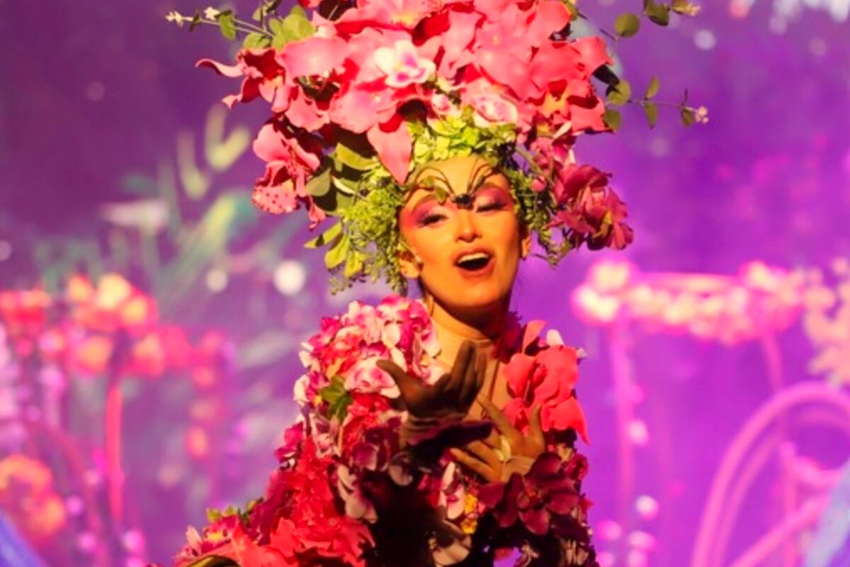 “El Reino Fantástico de las Orquídeas” es una oportunidad imperdible para sumergirse en un mundo de música, magia y emotividad, reafirmando el compromiso de MISI Producciones por acercar el teatro musical a la comunidad y brindar momentos de entretenimiento y reflexión para toda la familia. Fotos suministradas por el Teatro Santander/VANGUARDIA