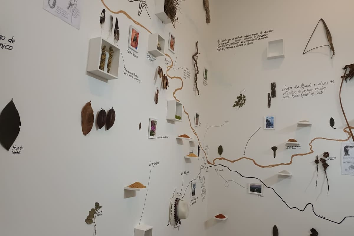 La exposición de Ivonne Alexandra Rodríguez que transforma el barro, la madera, la pesca y los relatos de Sabana de Torres en una experiencia artística sobre el territorio y sus huellas. Foto suministrada/VANGAURDIA