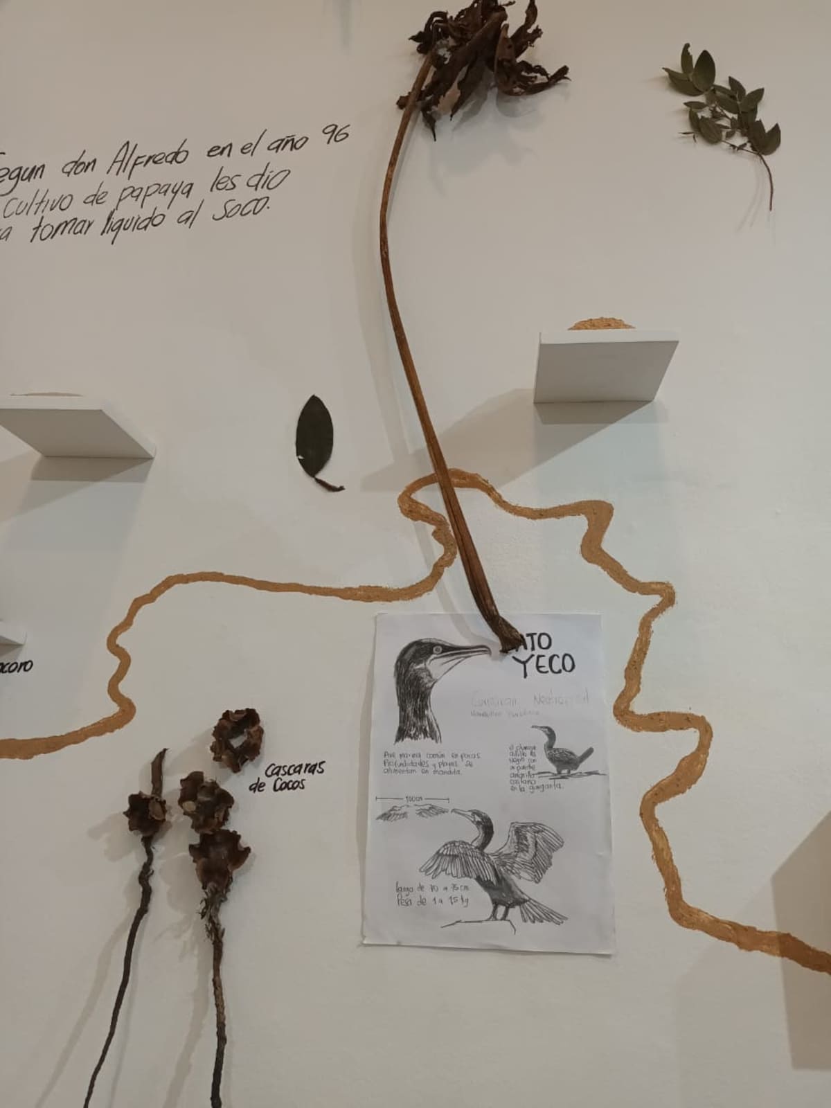 La exposición de Ivonne Alexandra Rodríguez que transforma el barro, la madera, la pesca y los relatos de Sabana de Torres en una experiencia artística sobre el territorio y sus huellas. Foto suministrada/VANGAURDIA
