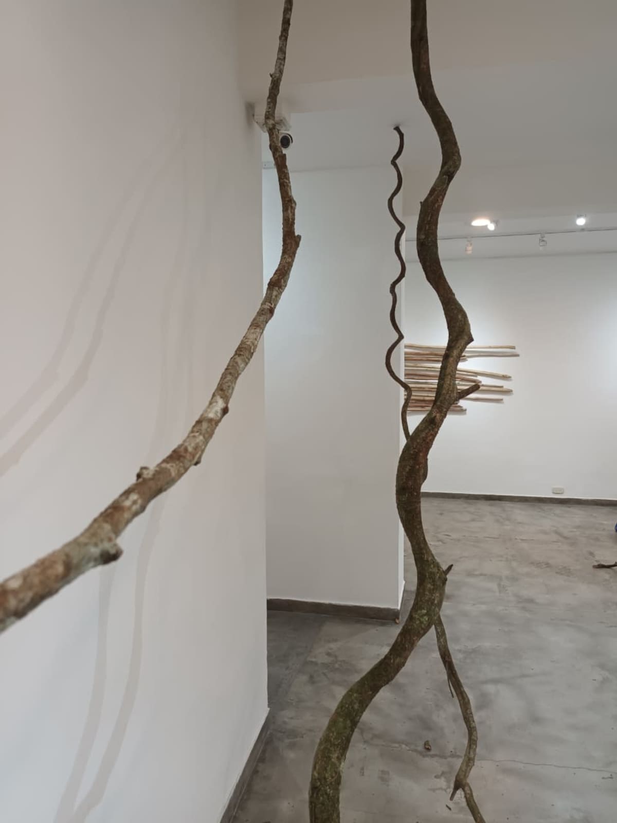 La exposición de Ivonne Alexandra Rodríguez que transforma el barro, la madera, la pesca y los relatos de Sabana de Torres en una experiencia artística sobre el territorio y sus huellas. Foto suministrada/VANGAURDIA