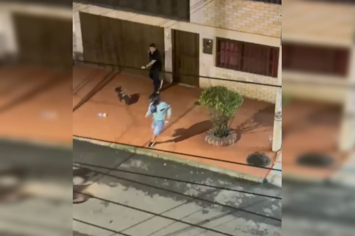 El robo ocurrió cuando la víctima caminaba junto a su mascota por una calle del barrio San Alonso.