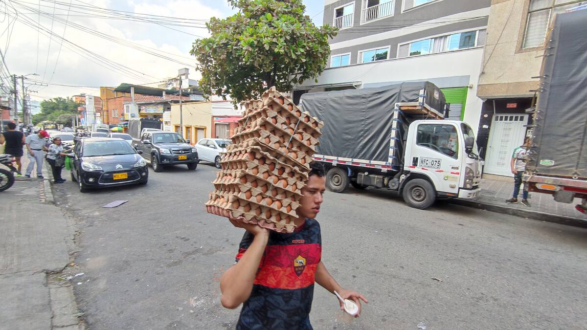 El sector avícola de Santander presenta un balance positivo en producción. | Foto Marco Valencia / VANGUARDIA