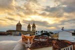El Socorro: un patrimonio que no cabe en sus paredes