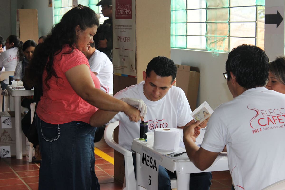 Las elecciones cafeteras se realizan cada cuatro años. // Federación Nacional de Cafeteros