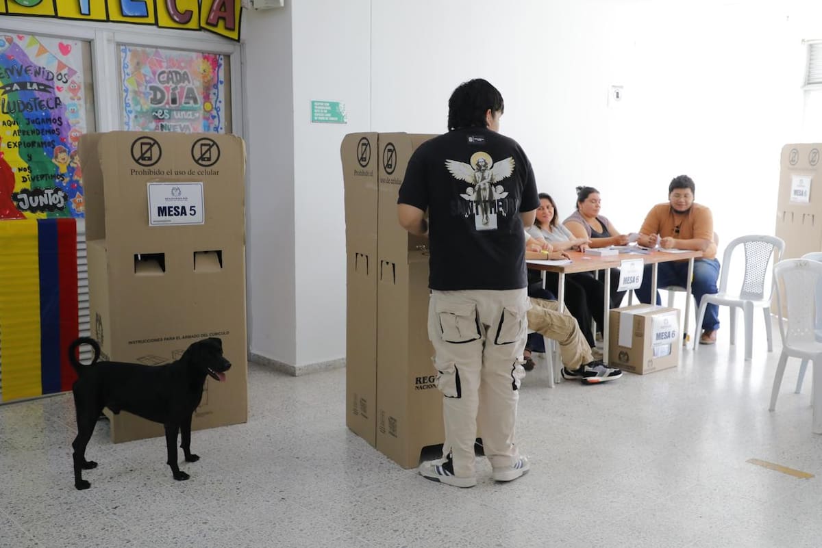 Jornada electoral del 21 de junio de 2026.