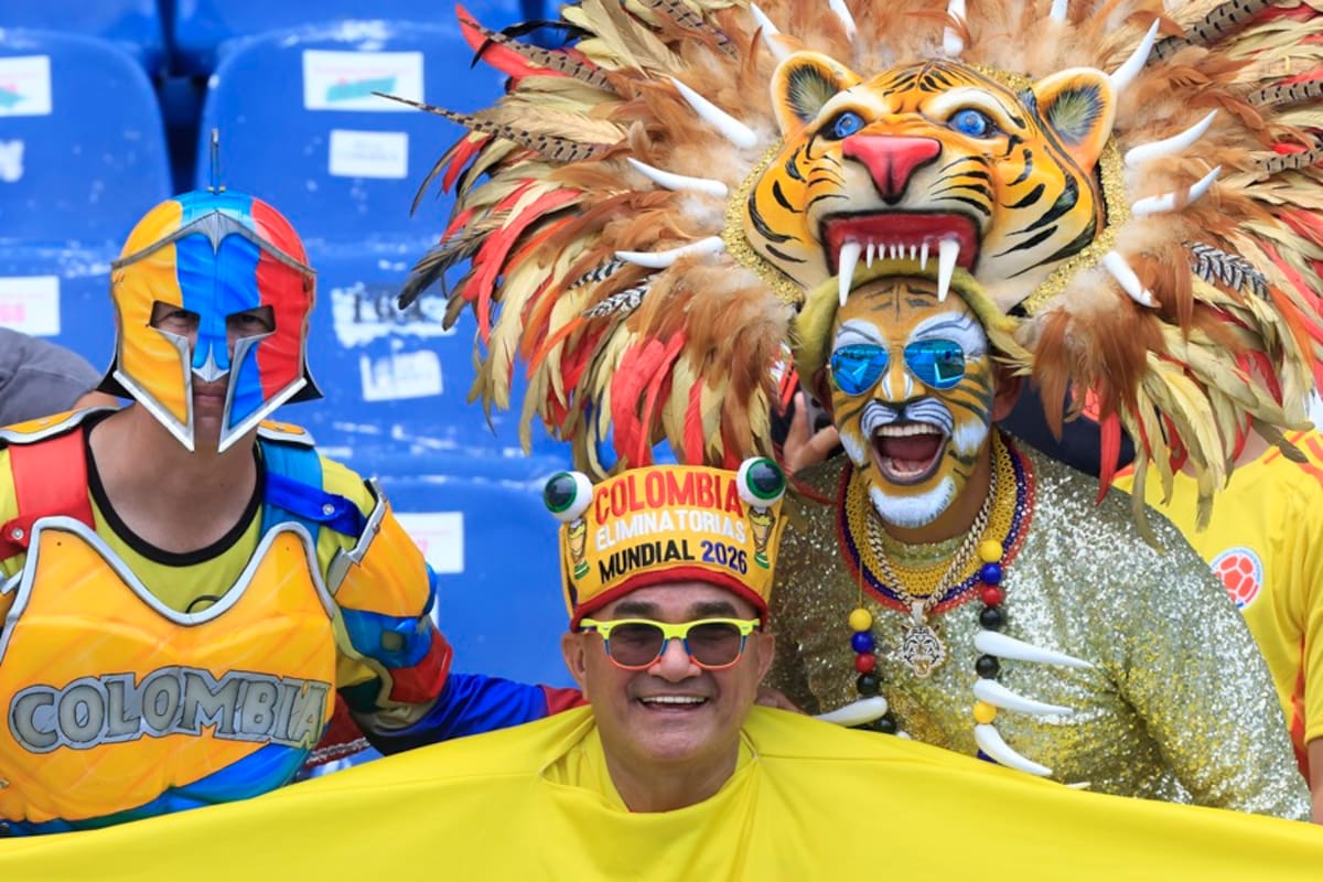 Imagen de archivo de hinchas de Colombia . EFE/ Ricardo Maldonado Rozo