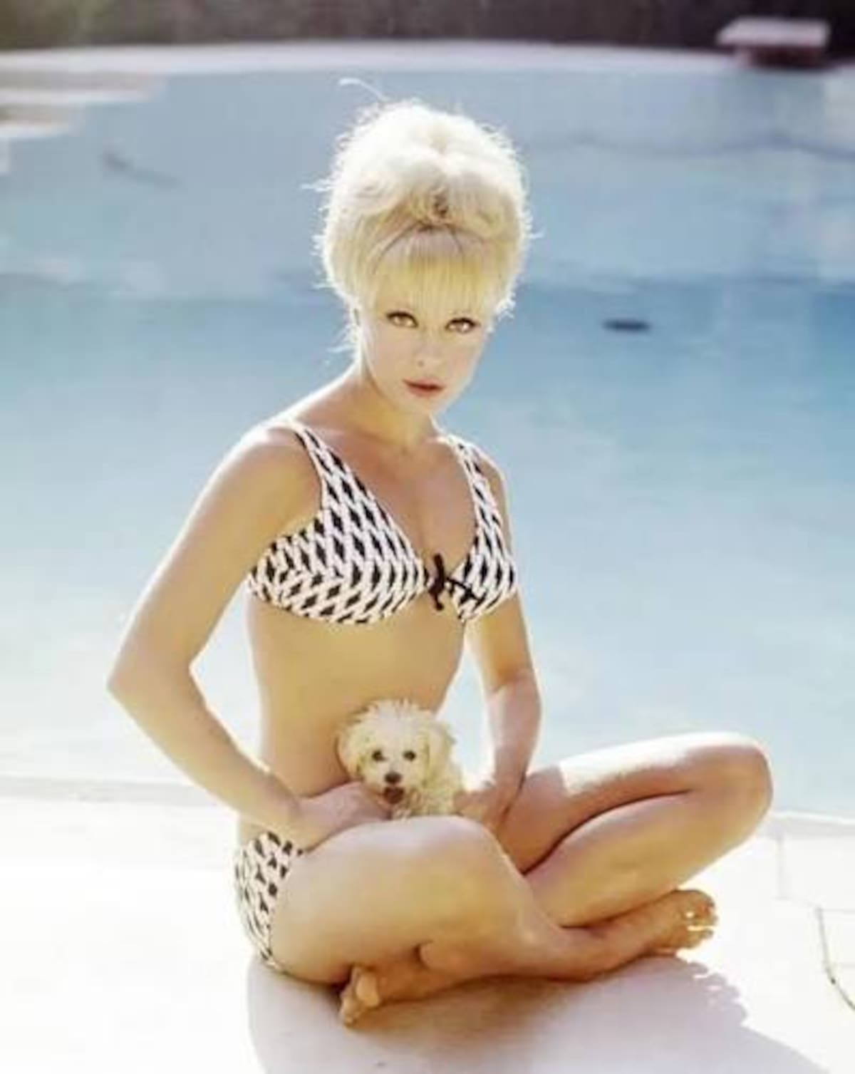 El director italiano Vittorio De Sica descubrió a Elke Sommer a finales de los años 50 y contribuyó a impulsar su carrera cinematográfica.