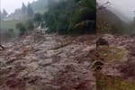 Avalancha en Guaca deja pérdidas por cerca de $960 millones y 120 familias afectadas en su acueducto