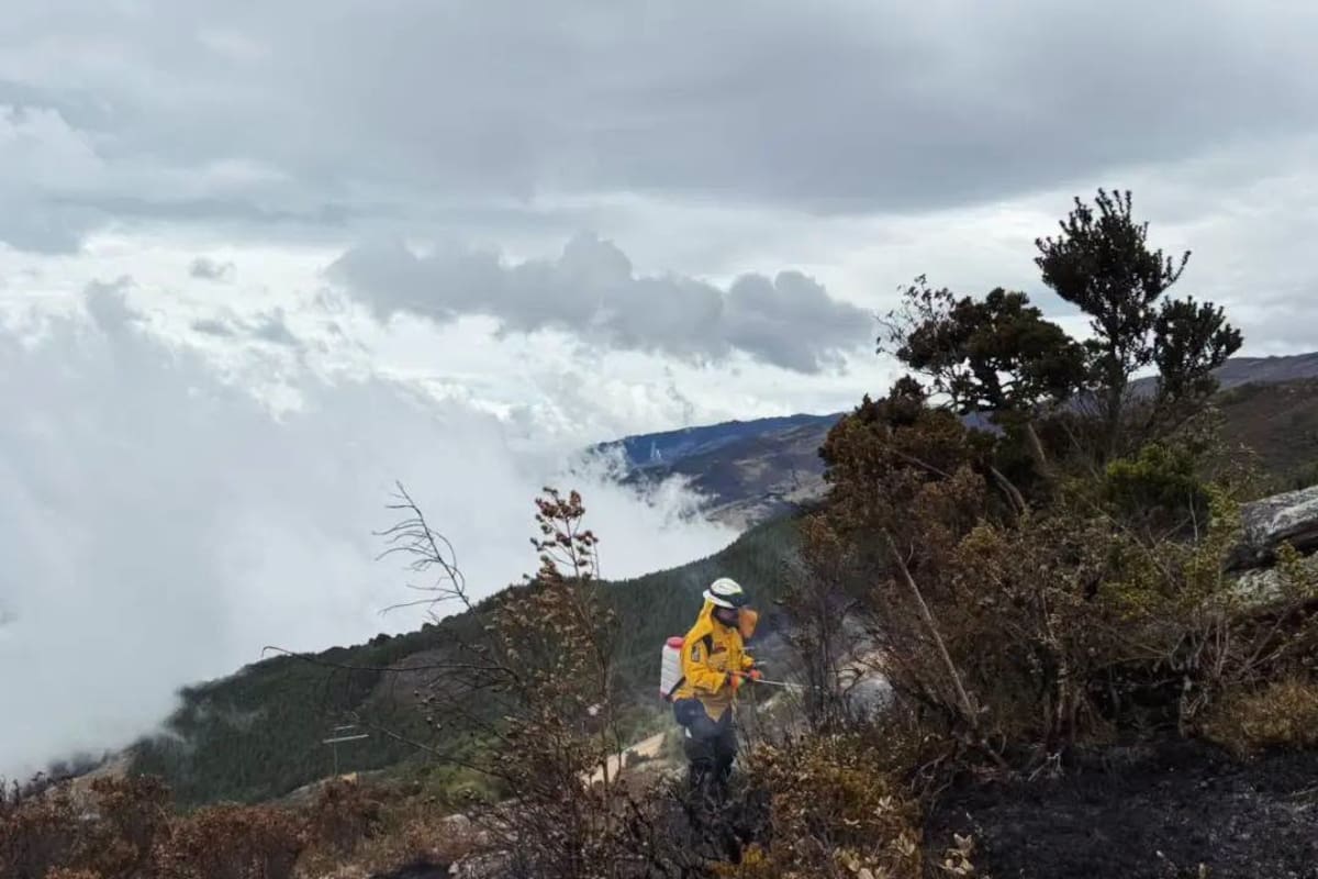 Emergencia en Santurbán: incendio en vereda de Tona está activo desde el pasado sábado