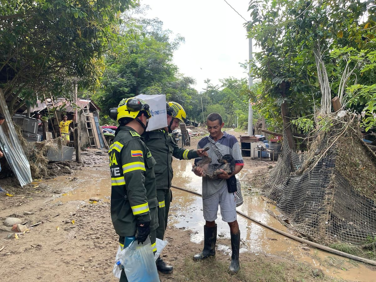 La creciente del río Lebrija destruyó casas y arrasó con cultivos y enseres de decenas de familias en la vereda Vanegas (Fotos suministradas / VANGUARDIA).
