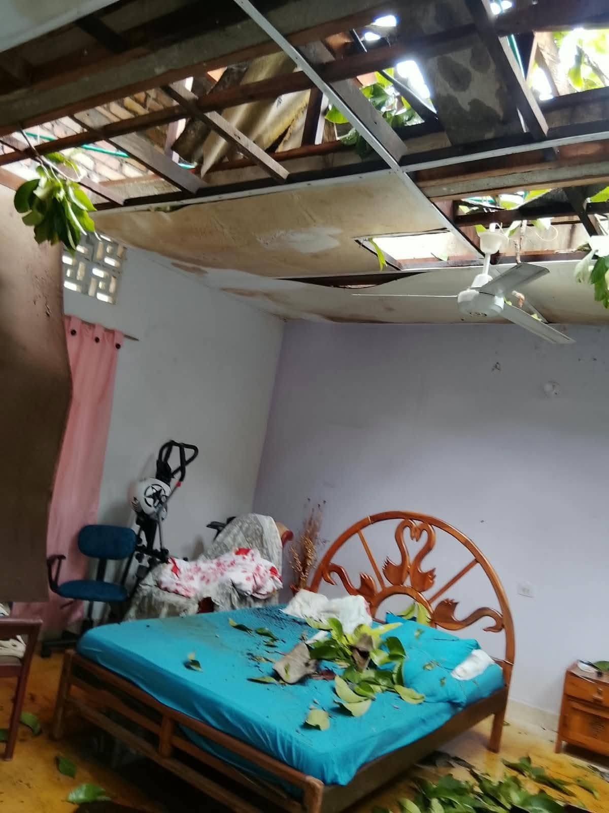 Las lluvias de la madrugada del 24 de octubre dejaron 20 árboles caídos y 12 viviendas con afectaciones estructurales en Barrancabermeja, según el reporte de la Dirección de Gestión del Riesgo.
Suministrada/Vanguardia