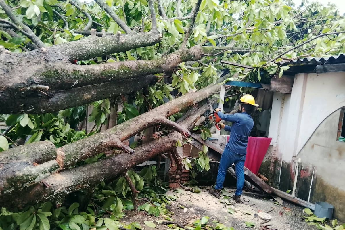 Las lluvias de la madrugada del 24 de octubre dejaron 20 árboles caídos y 12 viviendas con afectaciones estructurales en Barrancabermeja, según el reporte de la Dirección de Gestión del Riesgo.
Suministrada/Vanguardia