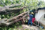 Lluvias en Barrancabermeja causaron caída de árboles y daños en doce viviendas