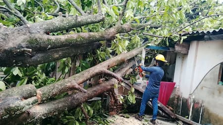 Lluvias en Barrancabermeja causaron caída de árboles y daños en 12 viviendas