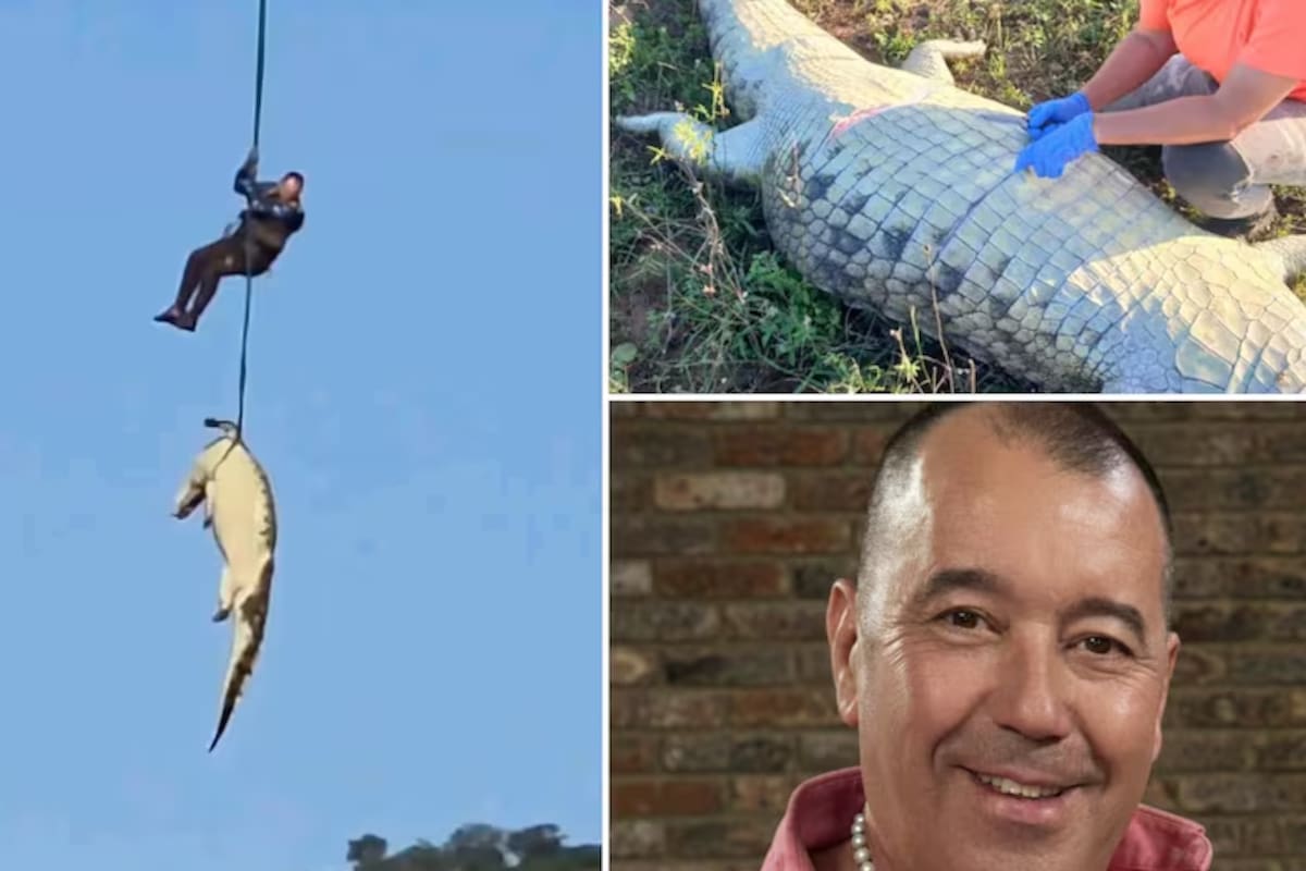 Restos humanos hallados dentro de un cocodrilo gigante. Un empresario de 59 años desapareció hace una semana cuando su camioneta fue arrastrada por las fuertes corrientes del río Komati (Mpumalanga).