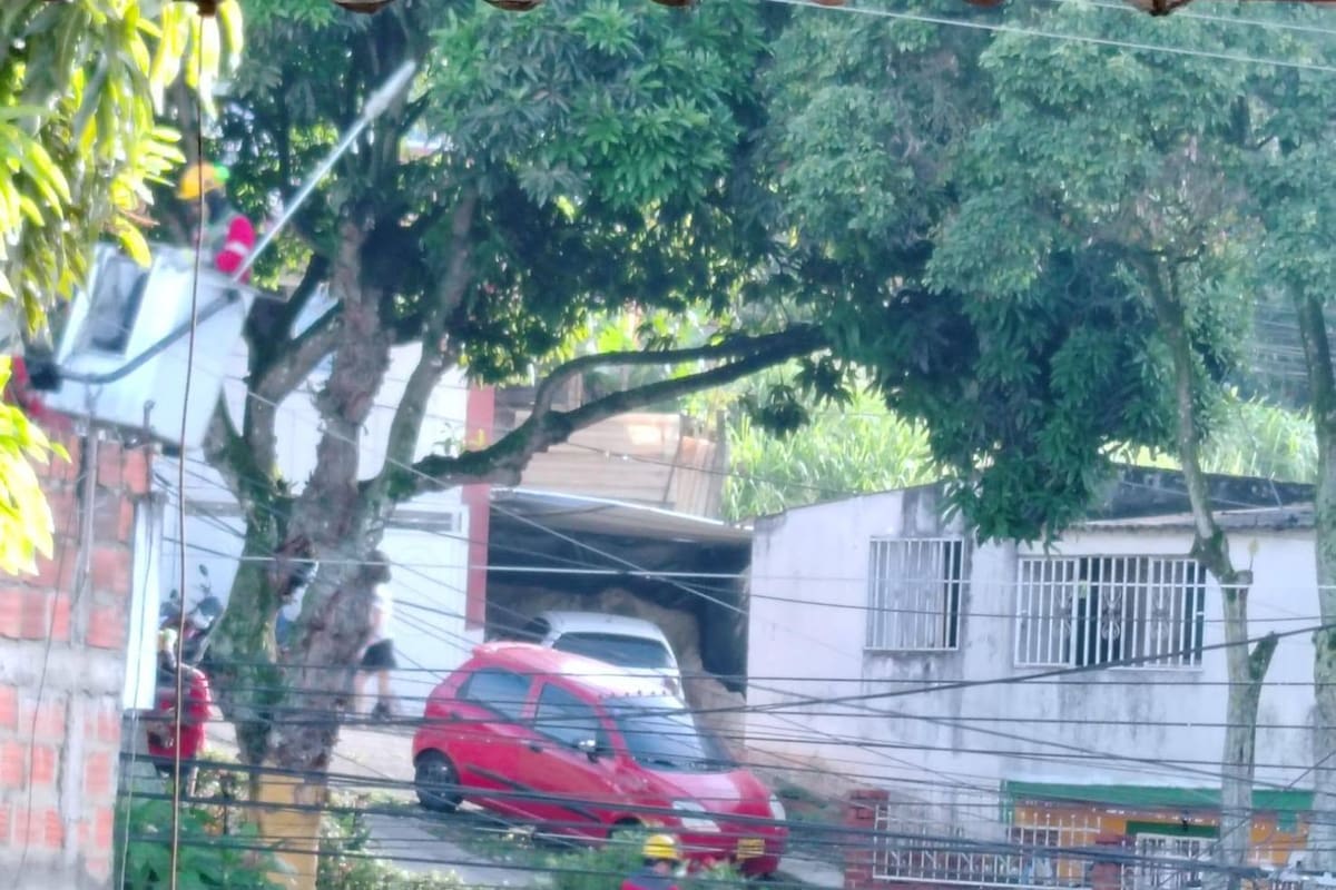 Los arbustos fueron intervenidos y los jardines embellecidos en este punto de Floridablanca. (Fotos: suministradas / VANGUARDIA)